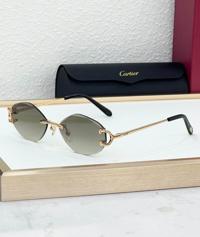 Cartier Glasses 08smh224 (2)