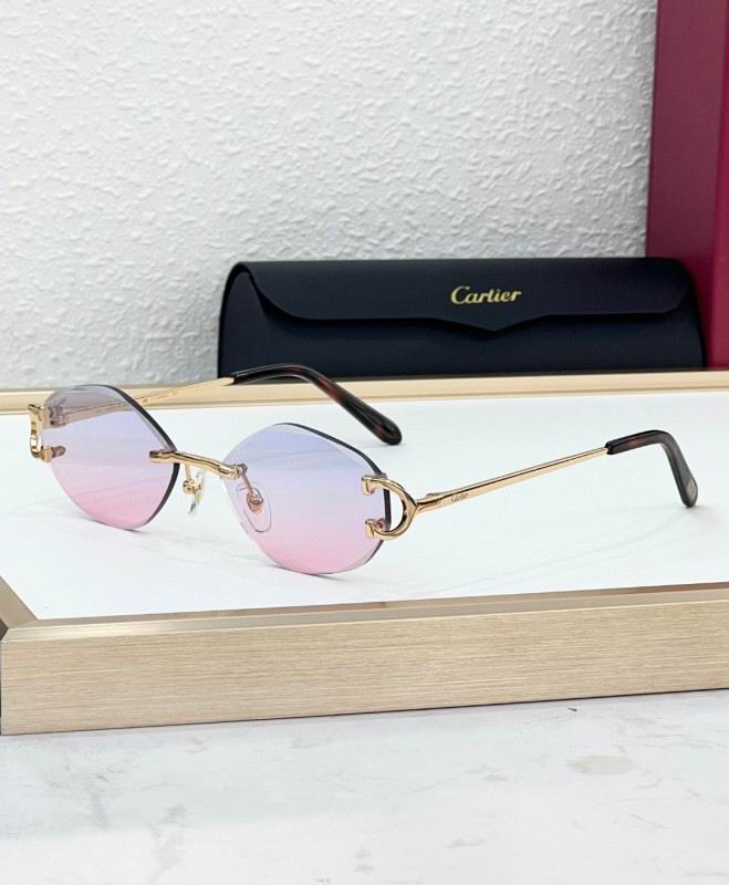 Cartier Glasses 08smh224 (3)