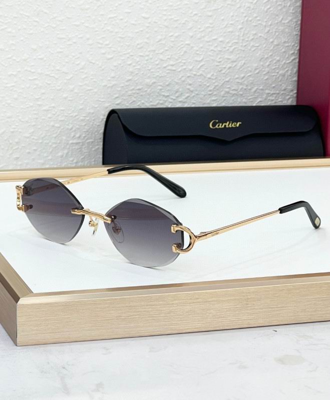 Cartier Glasses 08smh224 (4)