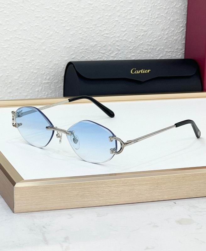 Cartier Glasses 08smh224 (5)