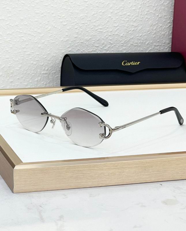 Cartier Glasses 08smh224 (7)