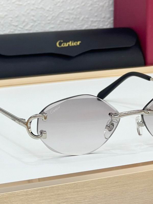Cartier Glasses 08smh224 (8)