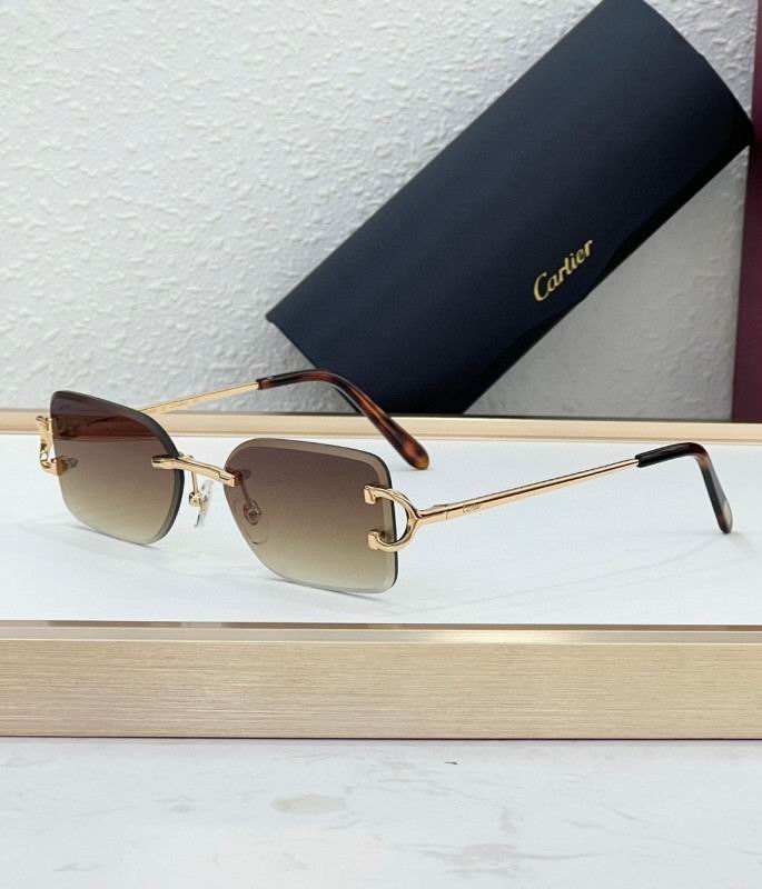 Cartier Glasses 08smh225 (10)