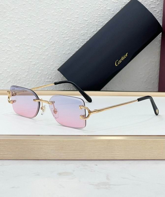 Cartier Glasses 08smh225 (11)