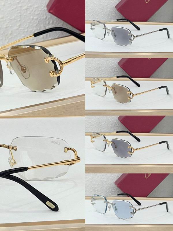 Cartier Glasses 08smh225 (12)
