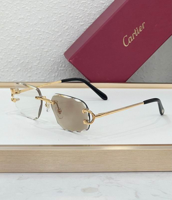 Cartier Glasses 08smh225 (4)