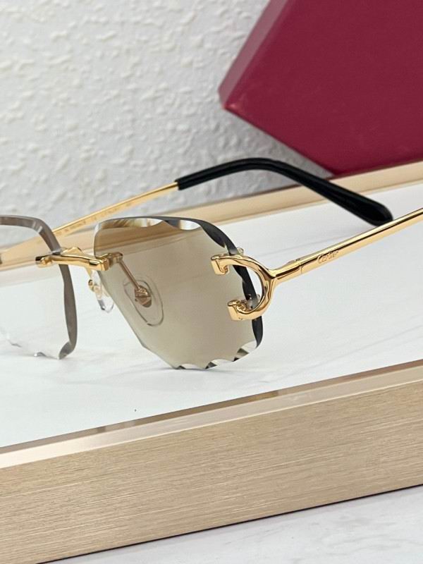Cartier Glasses 08smh225 (5)