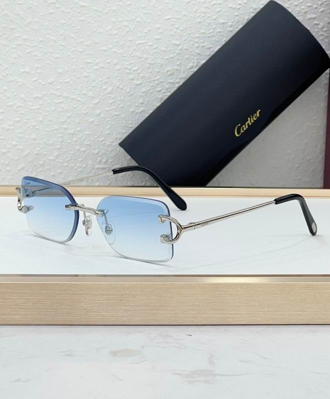 Cartier Glasses 08smh225 (8)