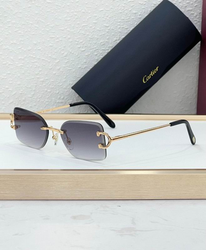 Cartier Glasses 08smh225 (9)