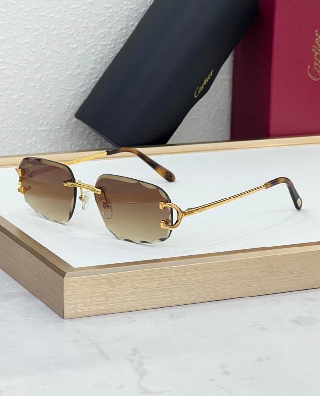 Cartier Glasses 08smh226 (2)