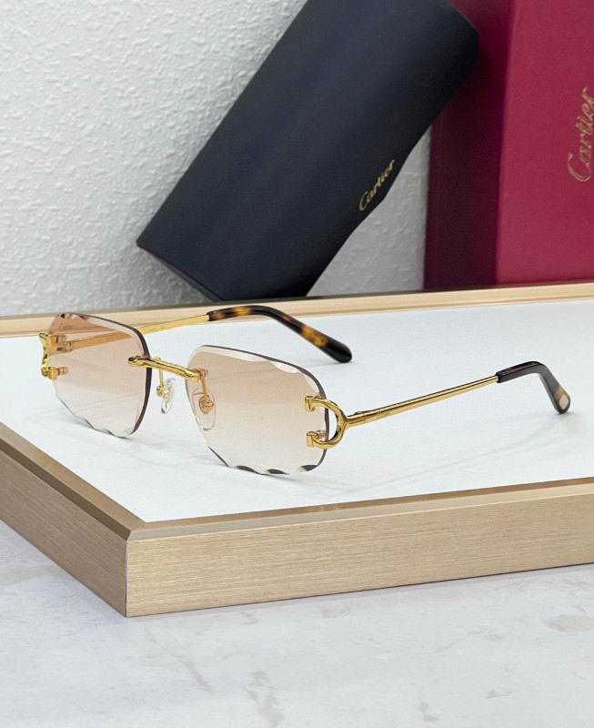 Cartier Glasses 08smh226 (3)