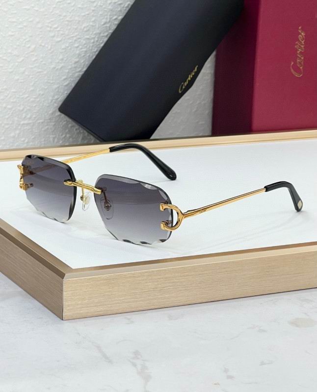 Cartier Glasses 08smh226 (4)