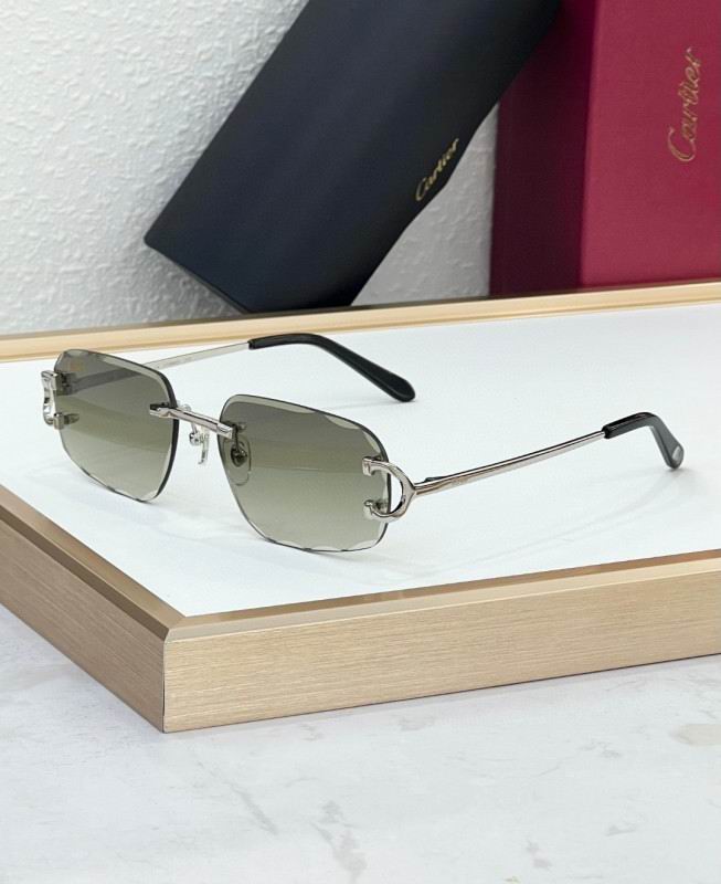 Cartier Glasses 08smh226 (5)