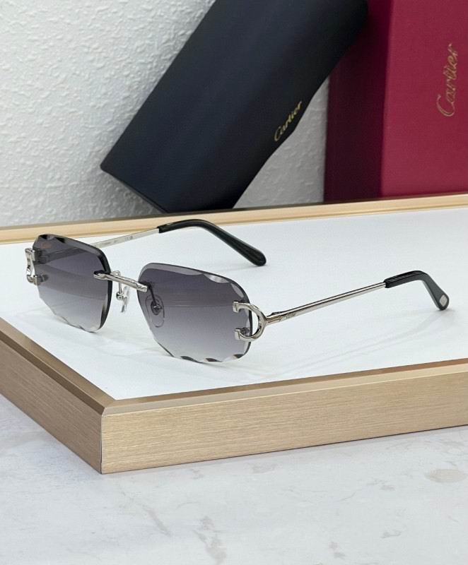 Cartier Glasses 08smh226 (6)