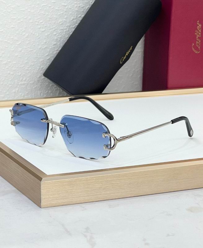 Cartier Glasses 08smh226 (7)