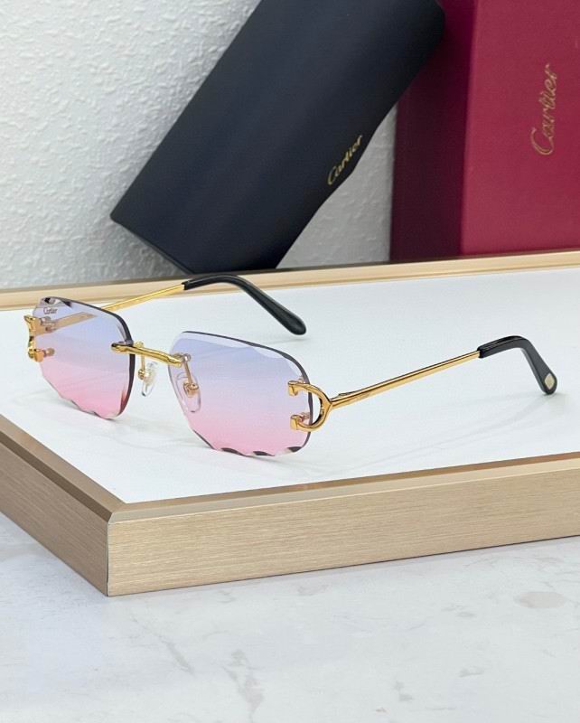 Cartier Glasses 08smh226 (8)