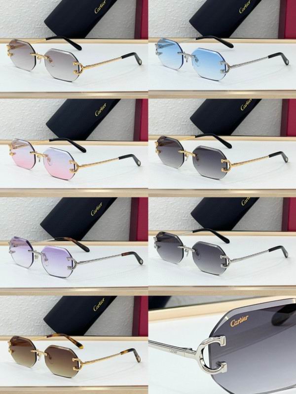 Cartier Glasses 08smh227 (10)