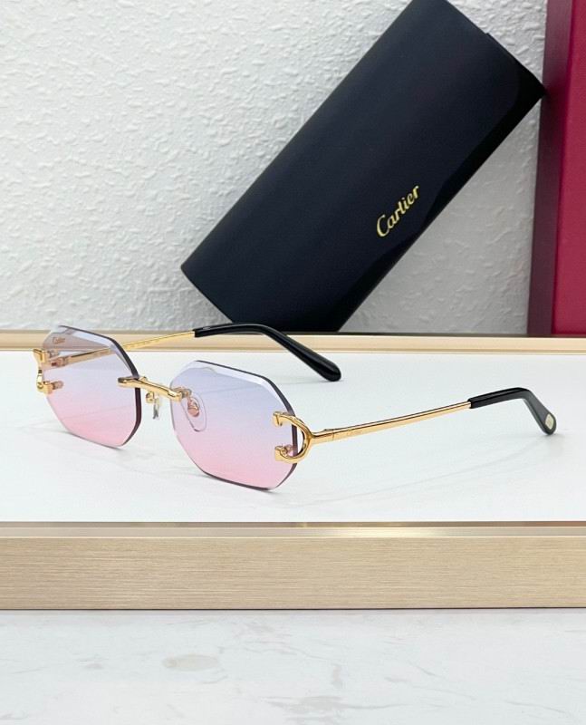 Cartier Glasses 08smh227 (2)