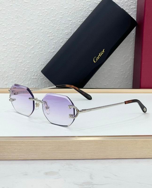 Cartier Glasses 08smh227 (3)