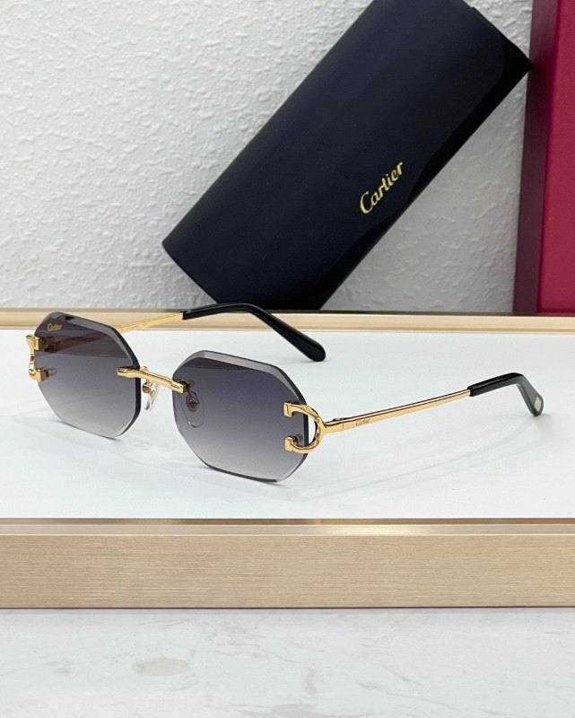 Cartier Glasses 08smh227 (4)