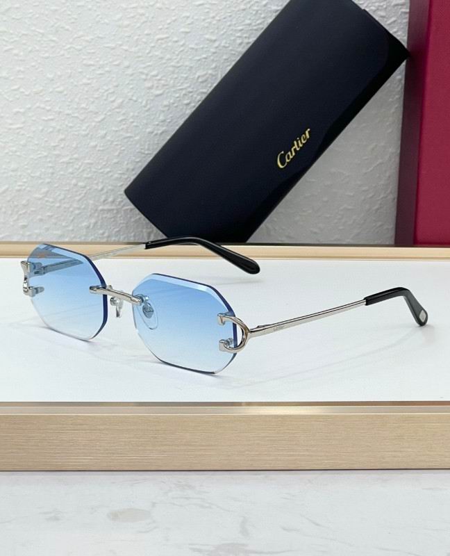 Cartier Glasses 08smh227 (5)