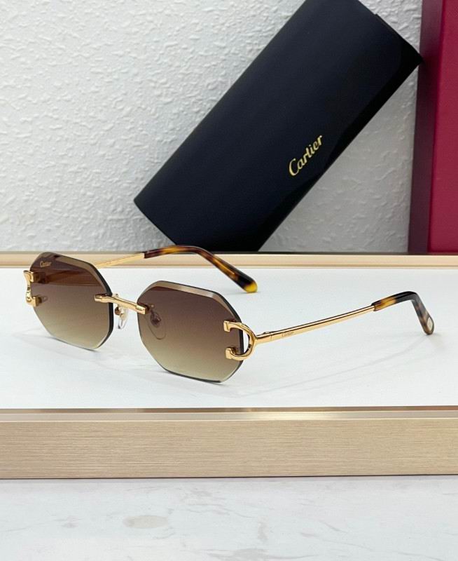 Cartier Glasses 08smh227 (6)