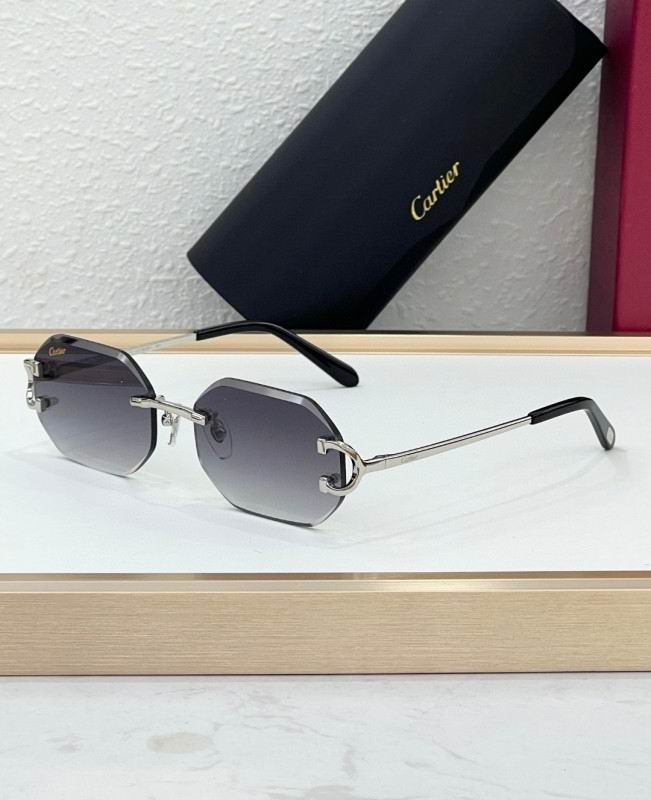 Cartier Glasses 08smh227 (7)