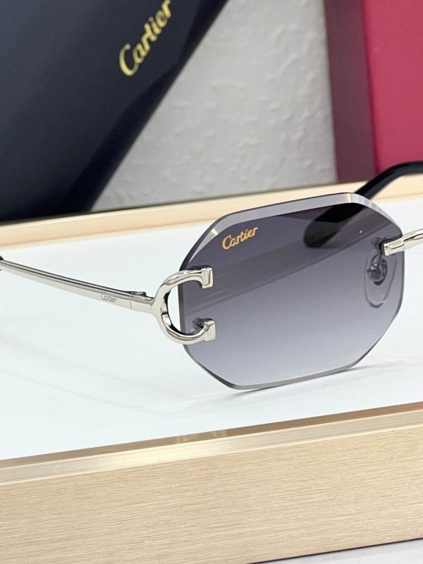 Cartier Glasses 08smh227 (8)