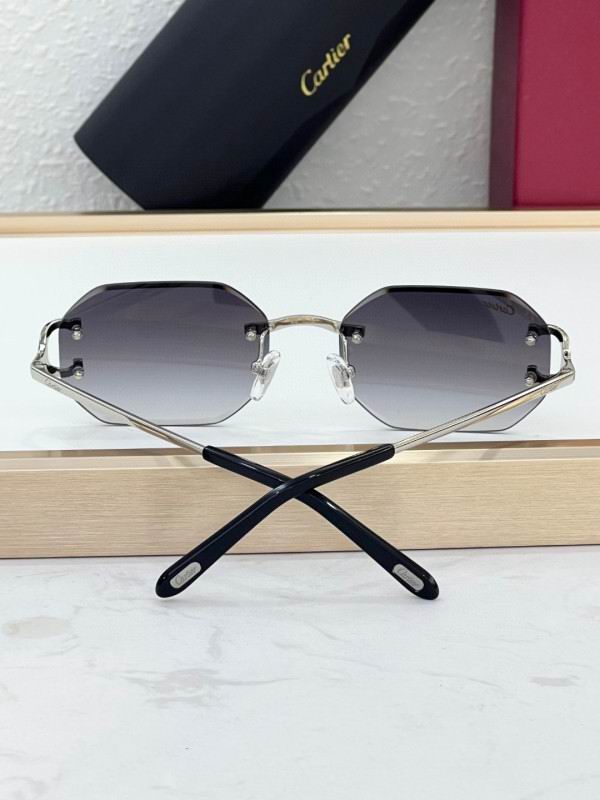 Cartier Glasses 08smh227 (9)