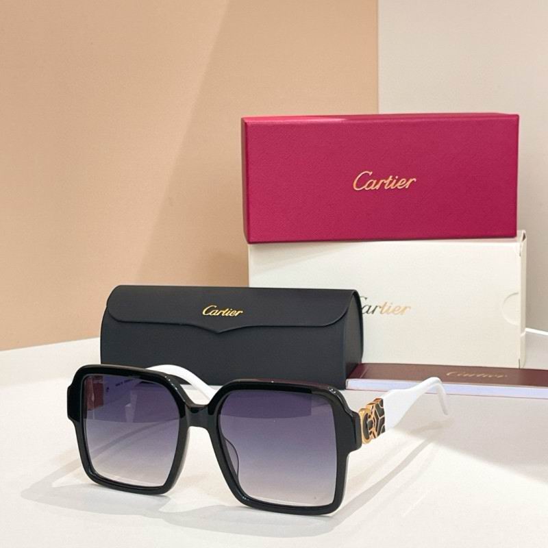 Cartier Glasses 08smh228 (3)