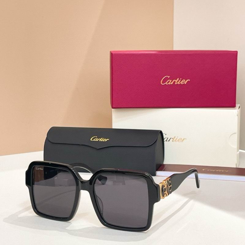Cartier Glasses 08smh228 (4)