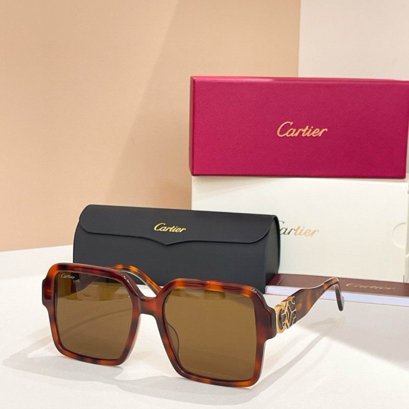 Cartier Glasses 08smh228 (5)