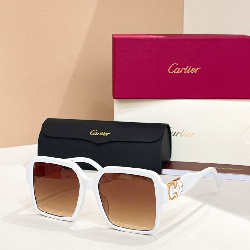 Cartier Glasses 08smh228 (6)