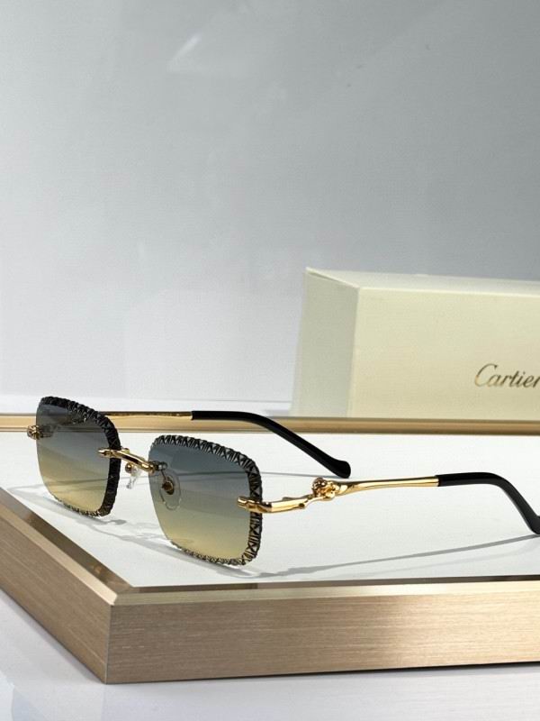 Cartier Glasses 08smh229 (1)