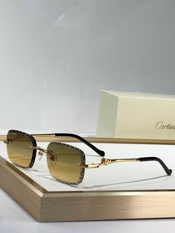 Cartier Glasses 08smh229 (5)