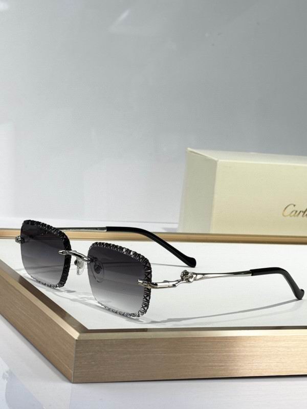 Cartier Glasses 08smh229 (6)