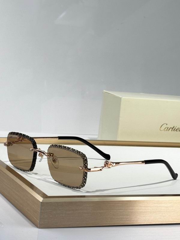 Cartier Glasses 08smh229 (7)