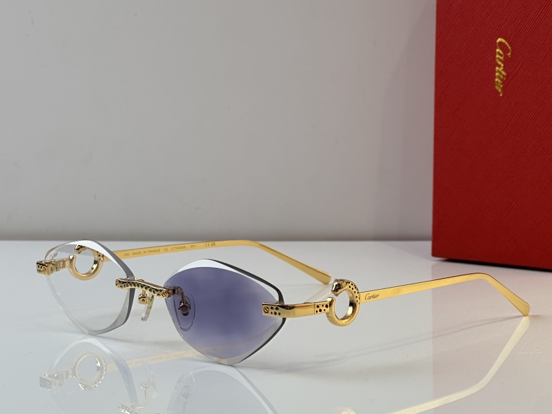 Cartier Glasses 08smh23 (1)