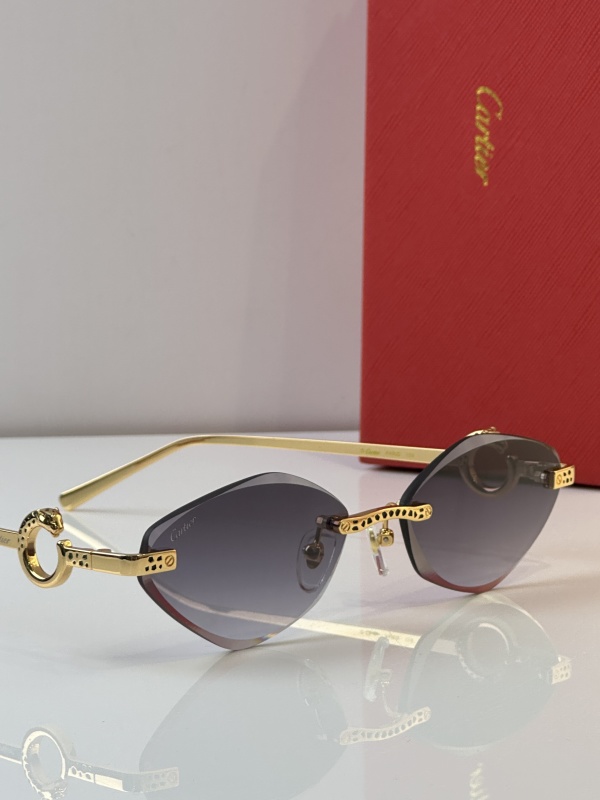 Cartier Glasses 08smh23 (11)