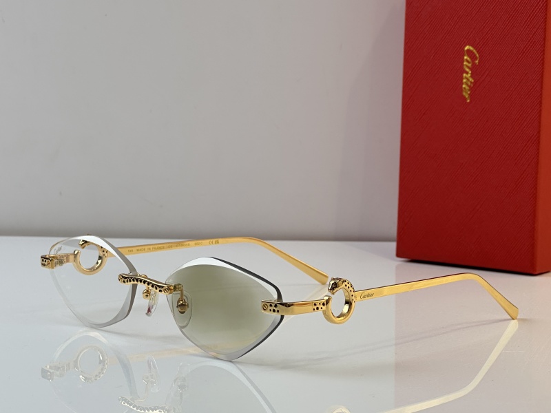 Cartier Glasses 08smh23 (2)