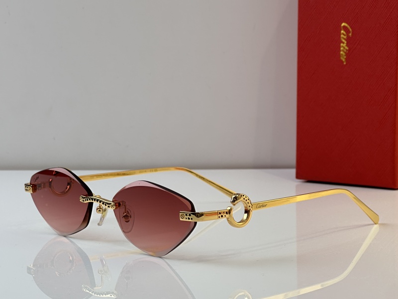 Cartier Glasses 08smh23 (4)