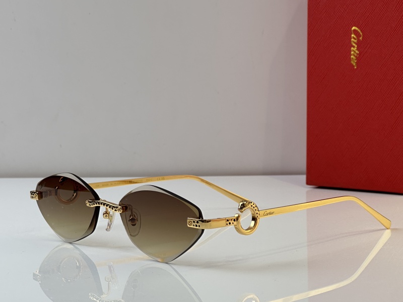 Cartier Glasses 08smh23 (5)