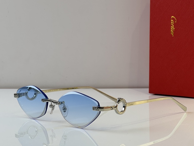 Cartier Glasses 08smh23 (6)