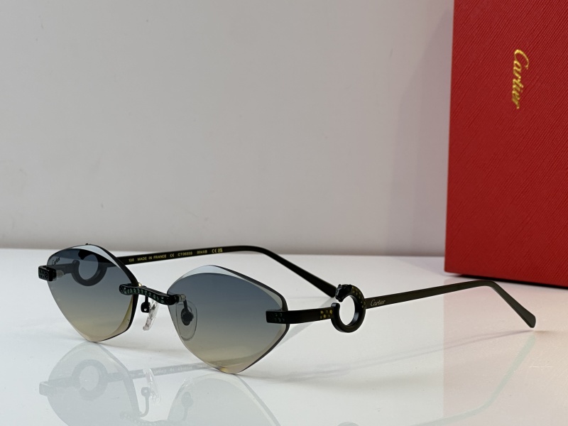 Cartier Glasses 08smh23 (7)