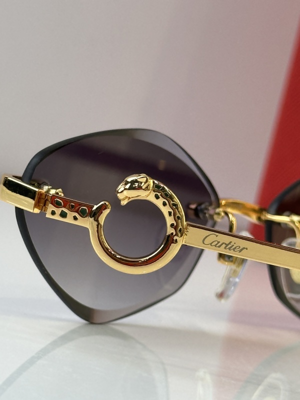 Cartier Glasses 08smh23 (9)