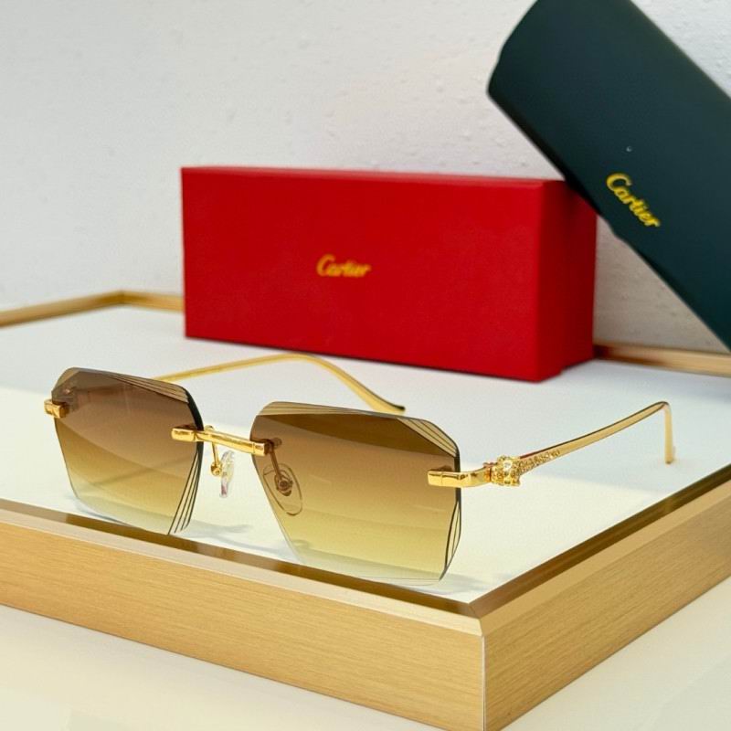 Cartier Glasses 08smh230 (5)