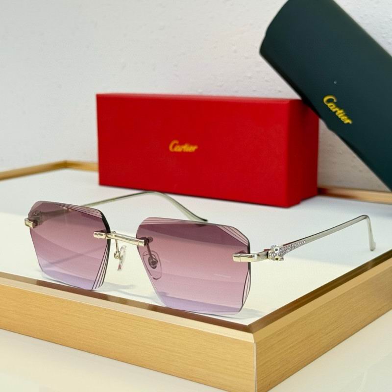 Cartier Glasses 08smh230 (6)