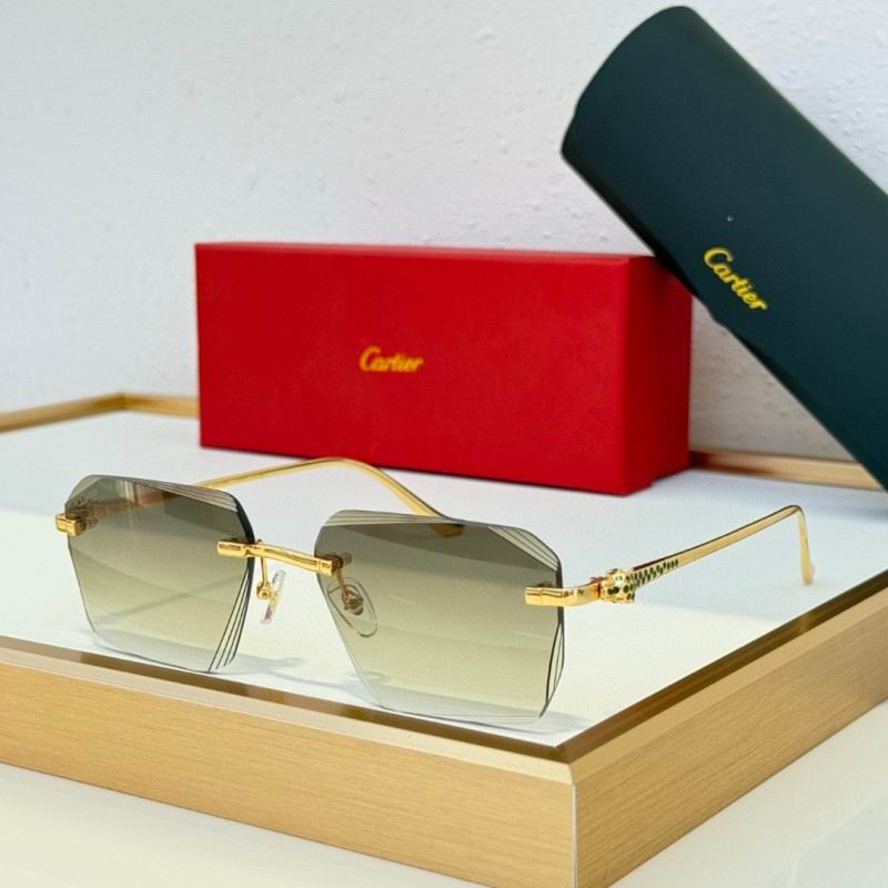 Cartier Glasses 08smh230 (7)