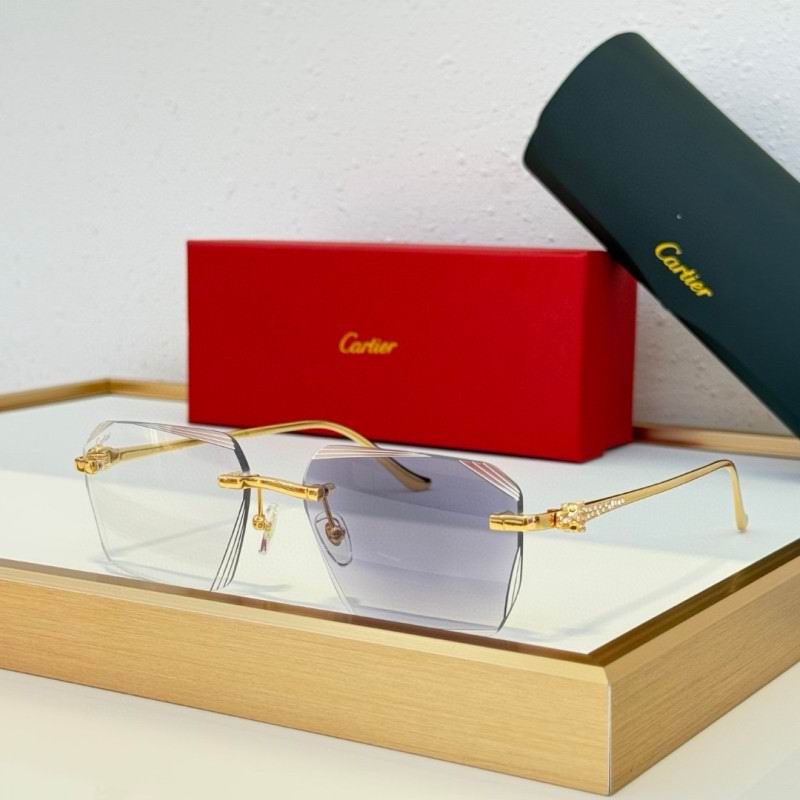 Cartier Glasses 08smh230 (8)
