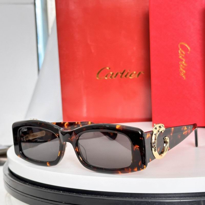 Cartier Glasses 08smh231 (2)